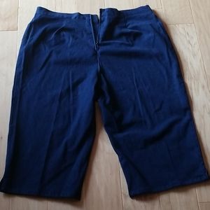 Fashion bug plus sized jean shorts